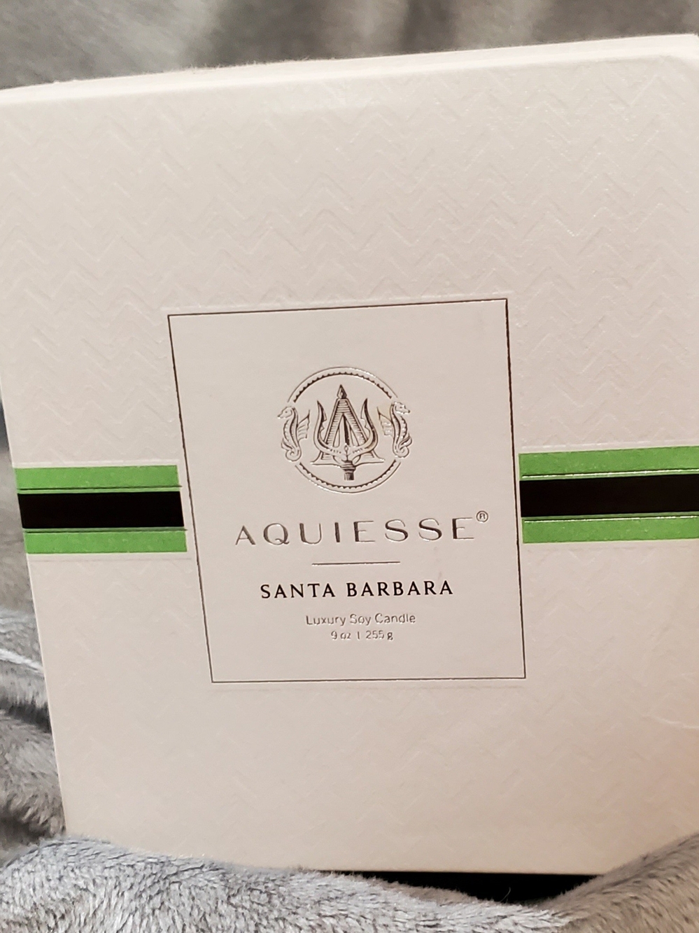 Aquiesse Santa Barbara Luxury Soy Candle - White & Green